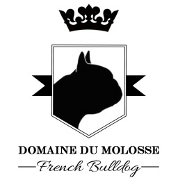 DomaineduMolosse